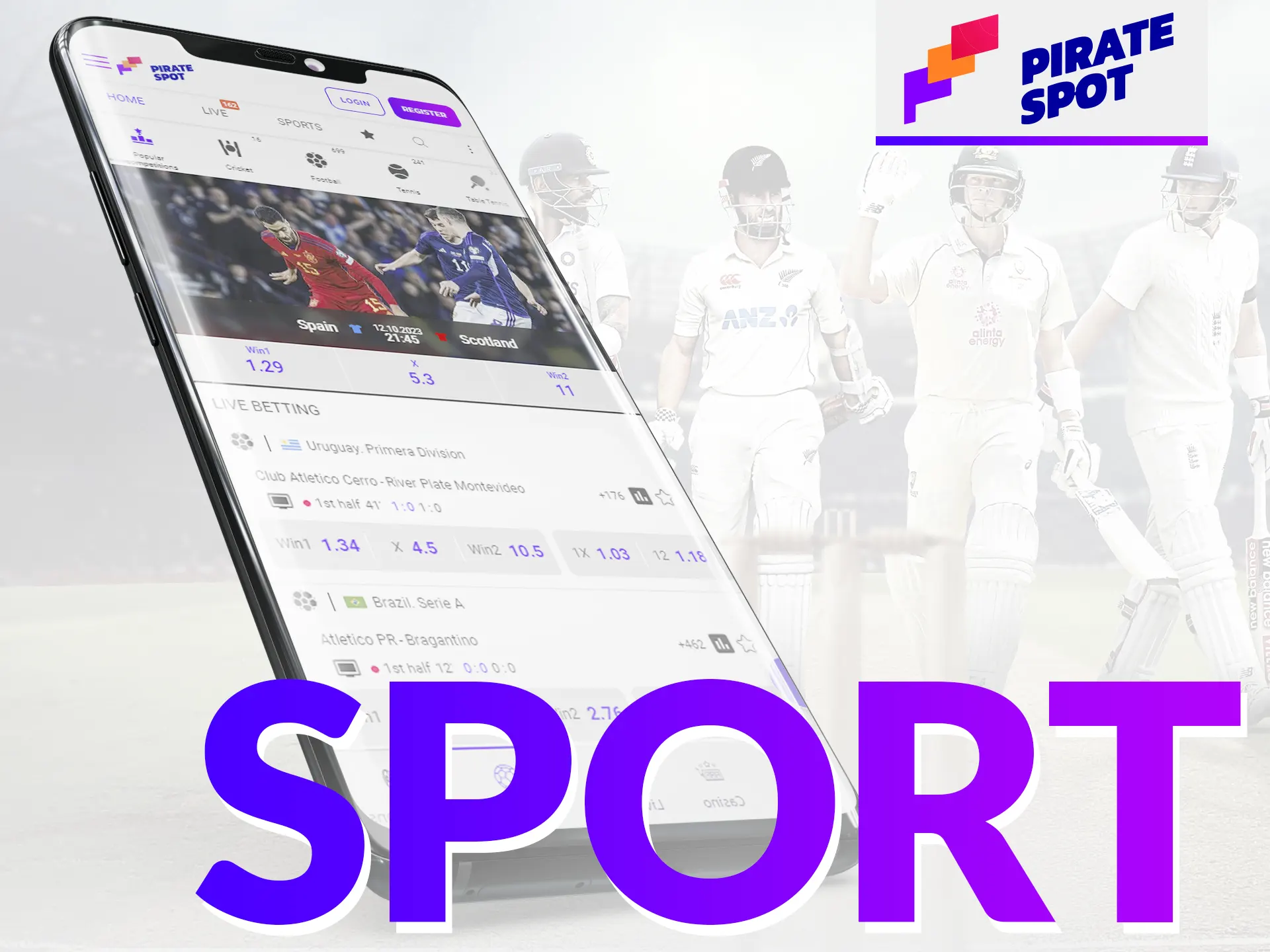 Choose any popular sport and bet every day with Pirate Spot.